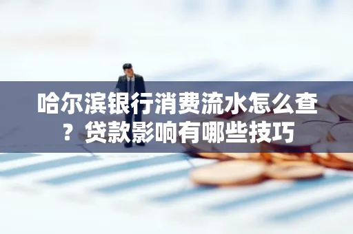 哈尔滨银行消费流水怎么查?贷款影响有哪些技巧